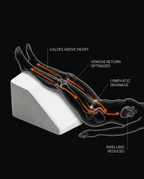 12_medical_circulation_diagram.png