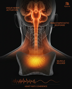 12_medical_heat_nervous_system.png
