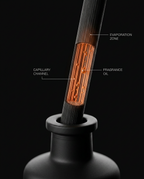 12_medical_reed_capillary.png
