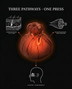 12_medical_three_pathways.png