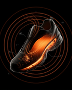 12_section_bacteria_science.png