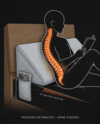12_section_posture_anatomy.png