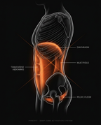 13_anatomy_core_activation.png