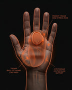 13_medical_anatomy.png