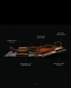 13_medical_spinal_anatomy.png