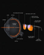 13_section_eye_anatomy.png
