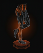 13_section_proprioception.png