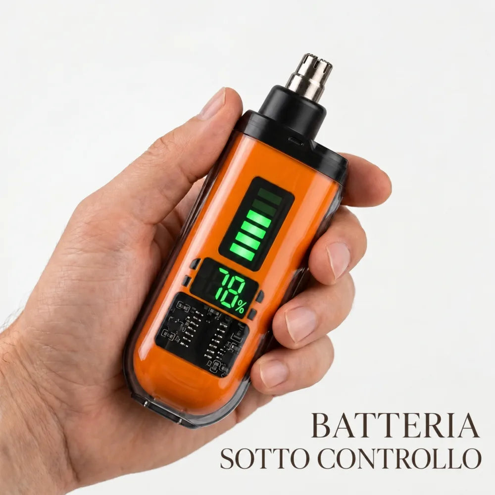 La carica, a colpo d’occhio